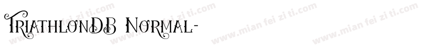TriathlonDB Normal字体转换